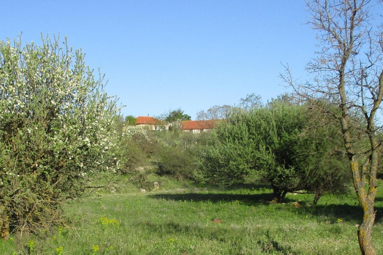 Villa Stone House In A Quiet Landscape, Leonidion Exterior foto